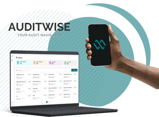 auditwise-audit-navigator auditwise-audit-navigator